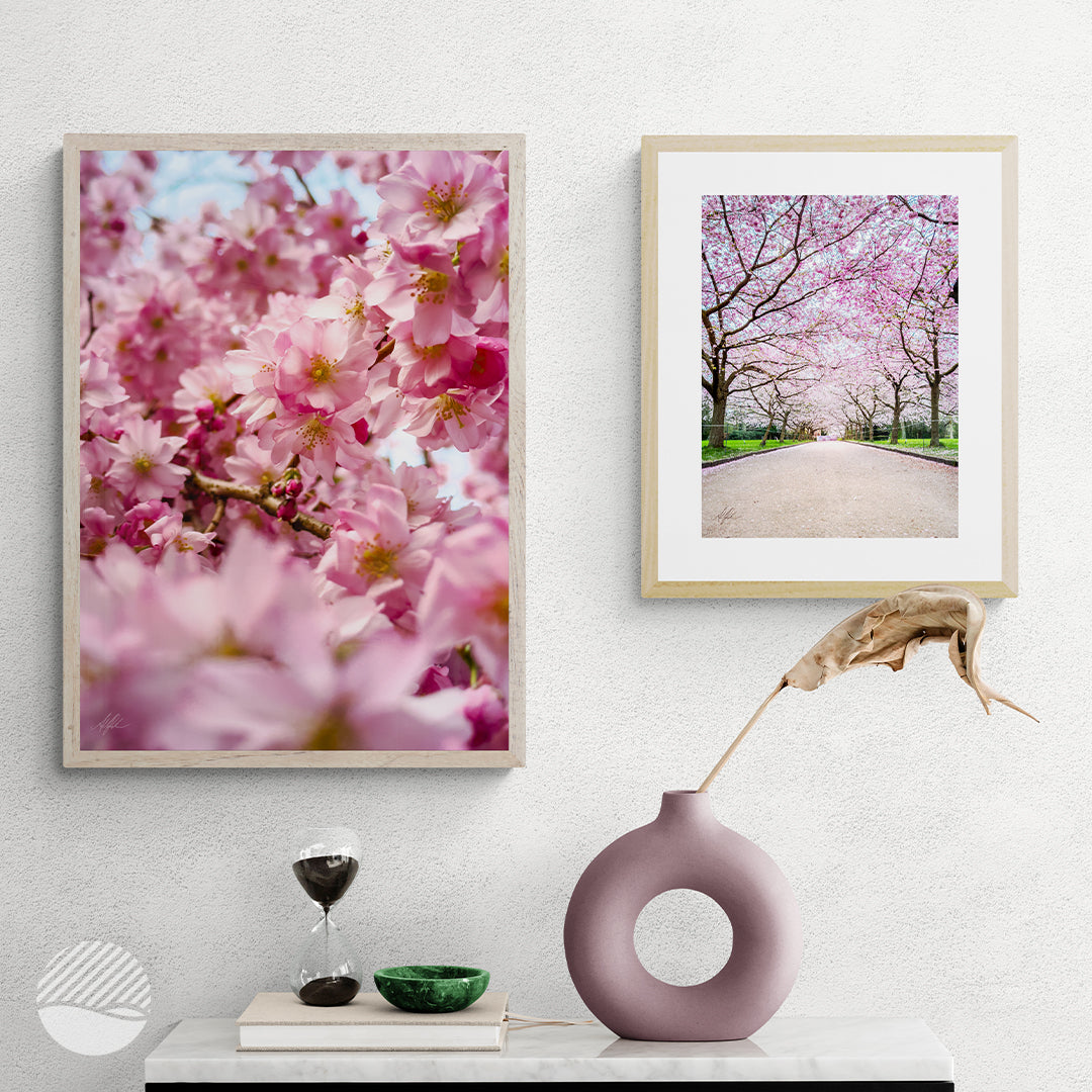 Sakura photo print of both editions in wooden frames by Alantherock - 50cm x 70cm & 30cm x 40cm in mockup hallways