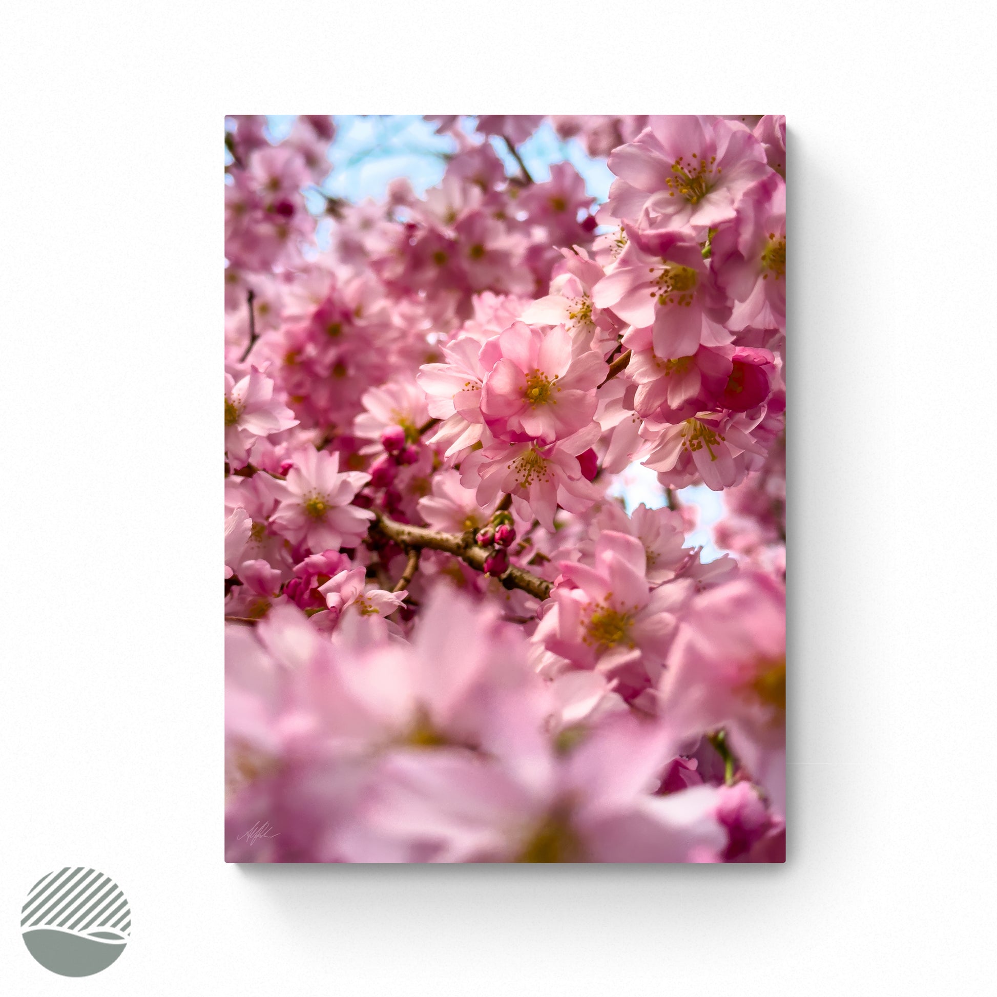 Sakura - In the flower crowd photo print by Alantherock - 80cmx60cm 
