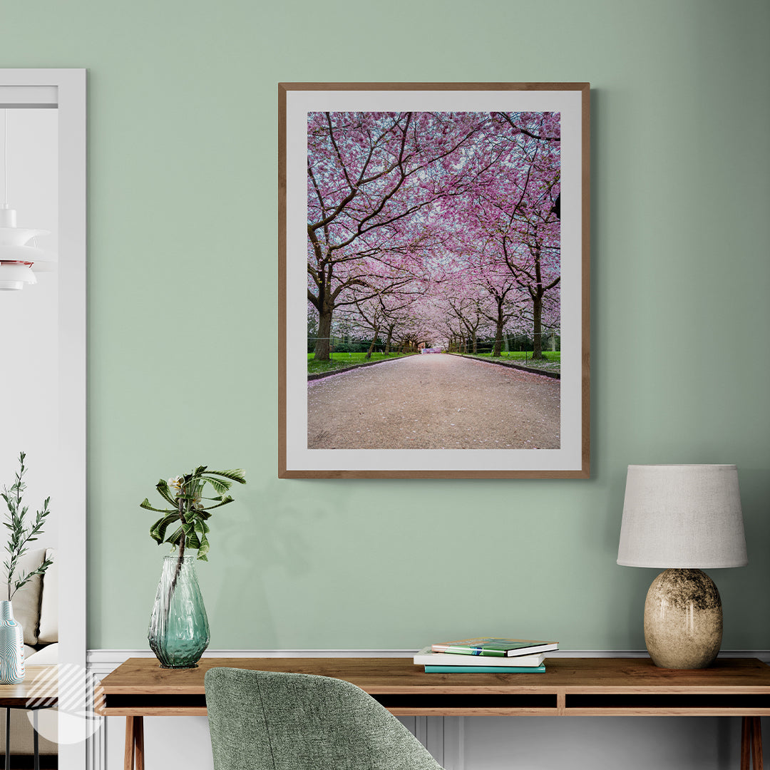 Sakura photo print Path of Spring in wooden frame by Alantherock - 60cm x 80cm in mockup workspace