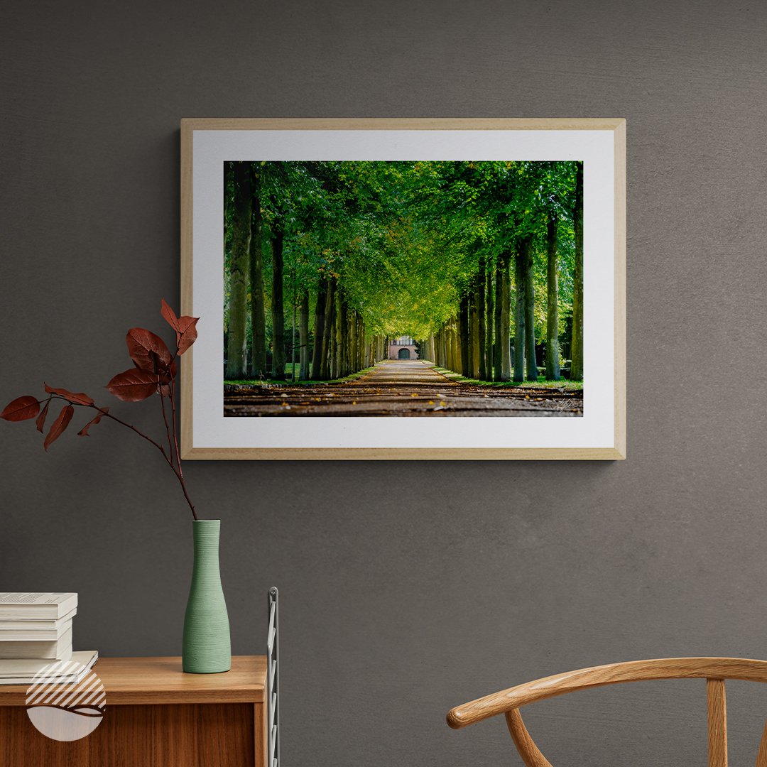 Path of Autumn Trees by Alantherock: A Hall Made of Trees