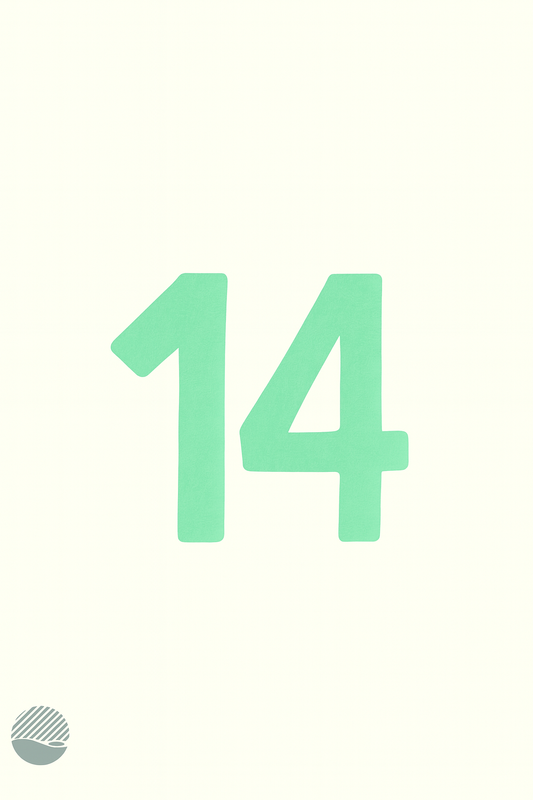 Last Call for Holiday Gifts: Get Your NOKUKO & SOAL Favourites in Time 🎄