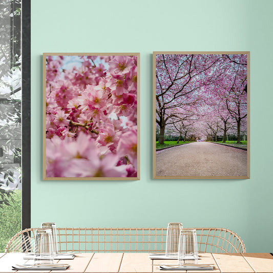 Sakura photo print of both editions in wooden frames by Alantherock - 80cmx60cm in mockup dinner table