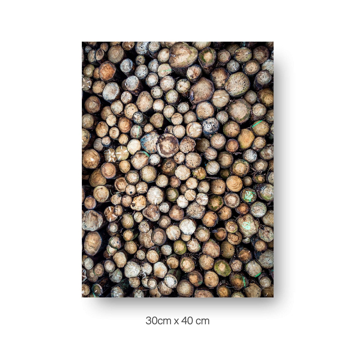 NOKUKO - Photo - Alan Pedersen - ALANTHEROCK - Wooden Texture - 30cmx40cm print
