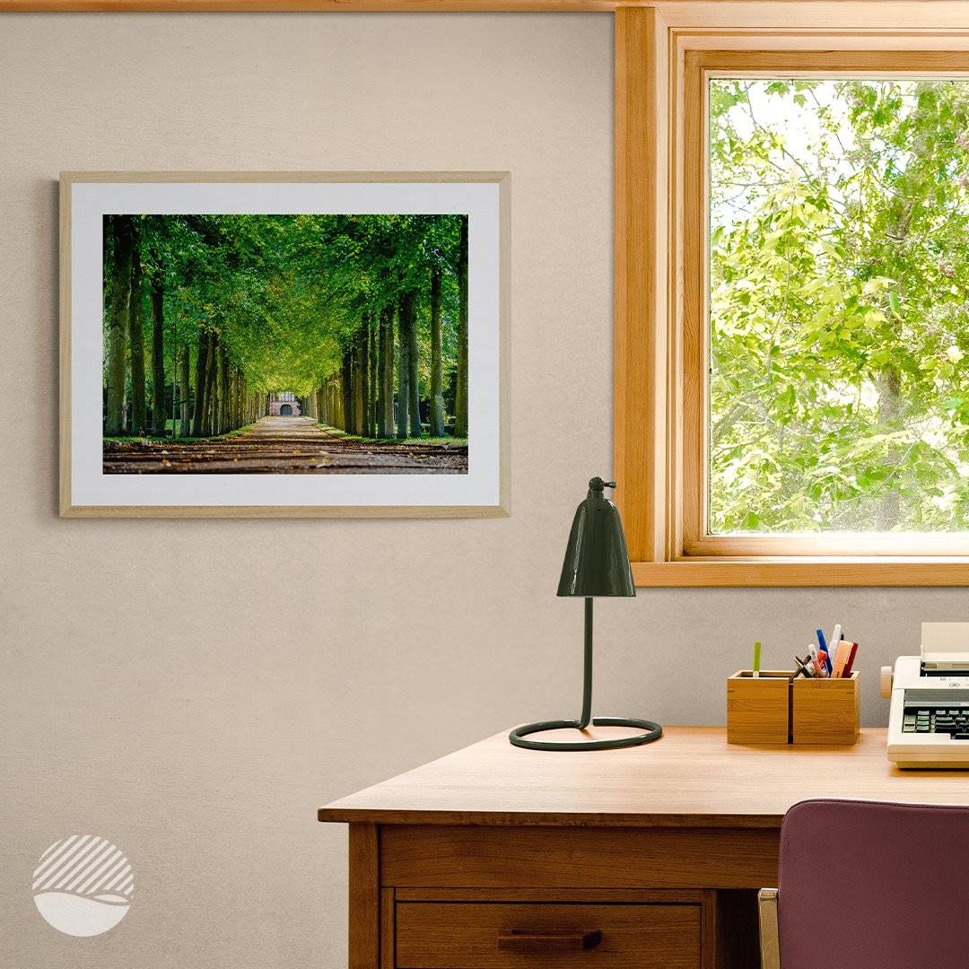ALANTHEROCK - Path of Autumn Trees - mockup livingroom