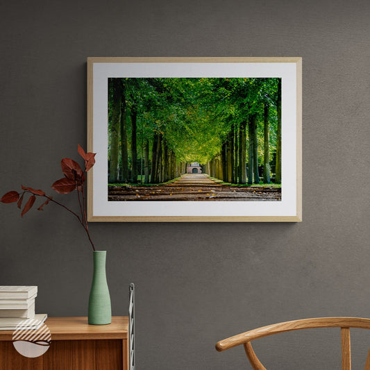 NOKUKO - Photo - Alan Pedersen - ALANTHEROCK - Path of Autumn Trees - mockup front