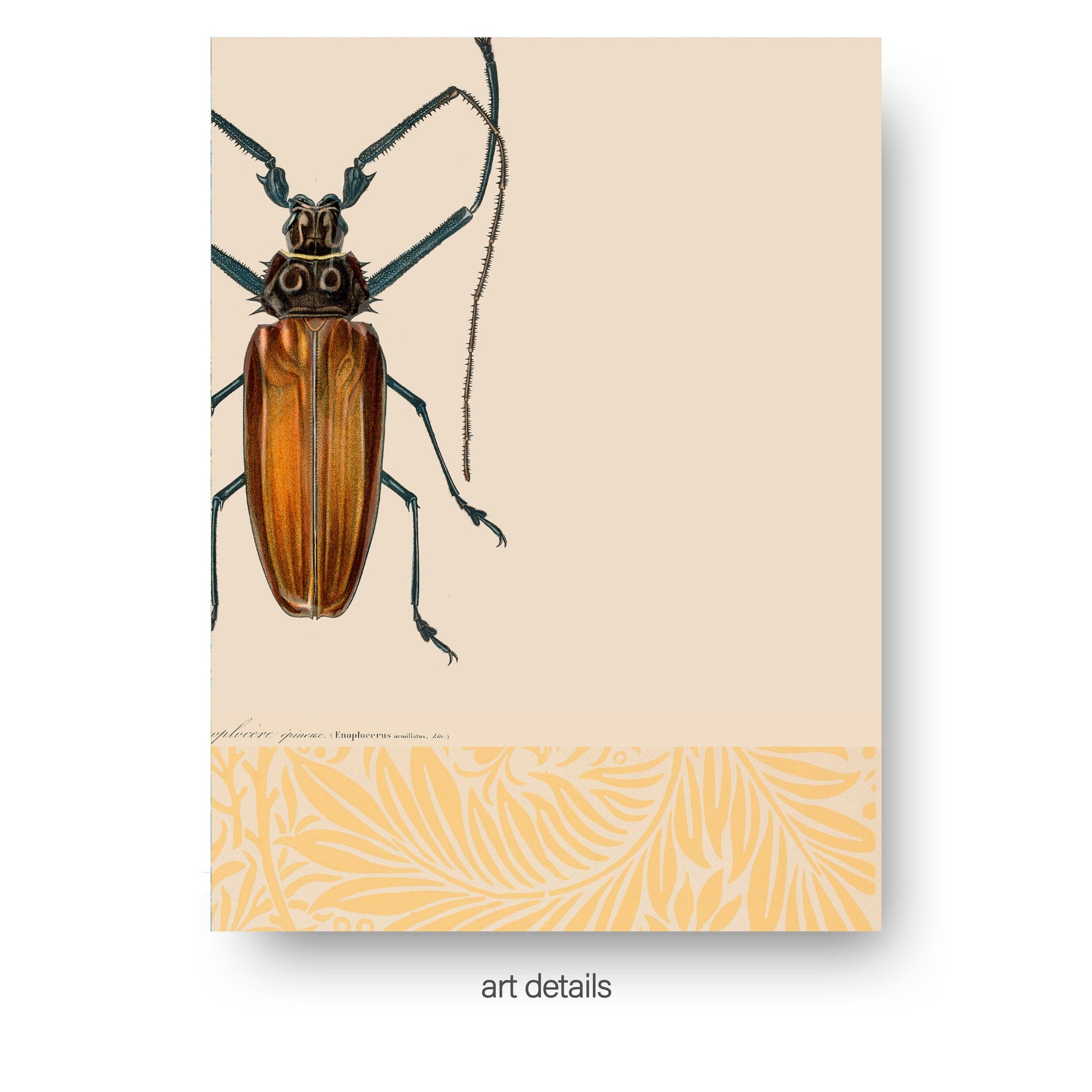 NOKUKO - Art - Pública Rework - Orange Morris D'Orbigny - art details