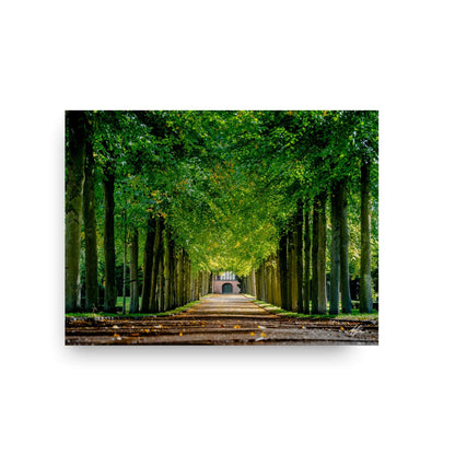 ALANTHEROCK - Path of Autumn Trees - print