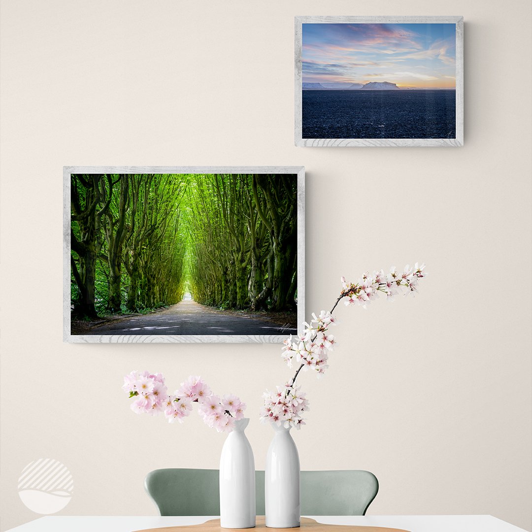 NOKUKO - Photo - Alan Pedersen - ALANTHEROCK - Tree path at Vesterbro, Copenhagen - mockup livingroom