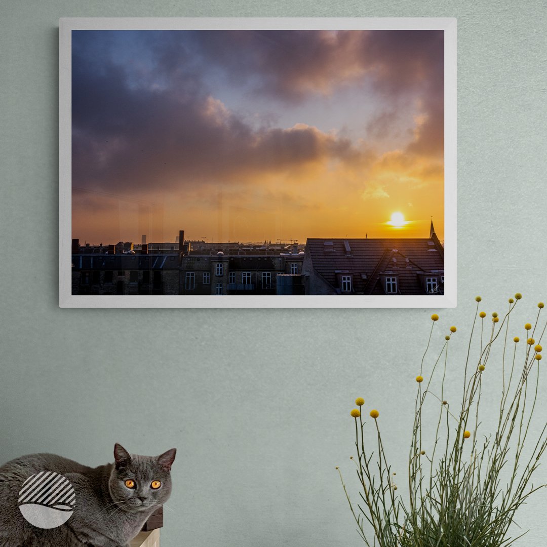 NOKUKO - Photo - Alan Pedersen - ALANTHEROCK - Rooftop sunset - livingroom cat mockup