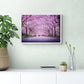 NOKUKO - Photo - Alan Pedersen - ALANTHEROCK - sakura season - mockup front