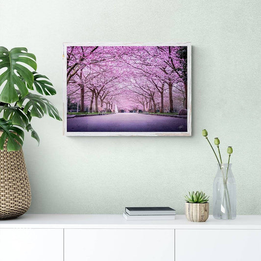 NOKUKO - Photo - Alan Pedersen - ALANTHEROCK - sakura season - mockup front