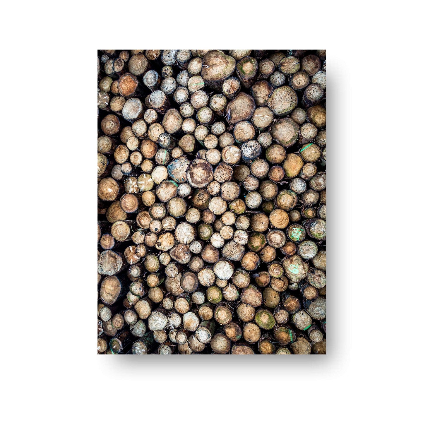 NOKUKO - Photo - Alan Pedersen - ALANTHEROCK - Wooden Texture - print