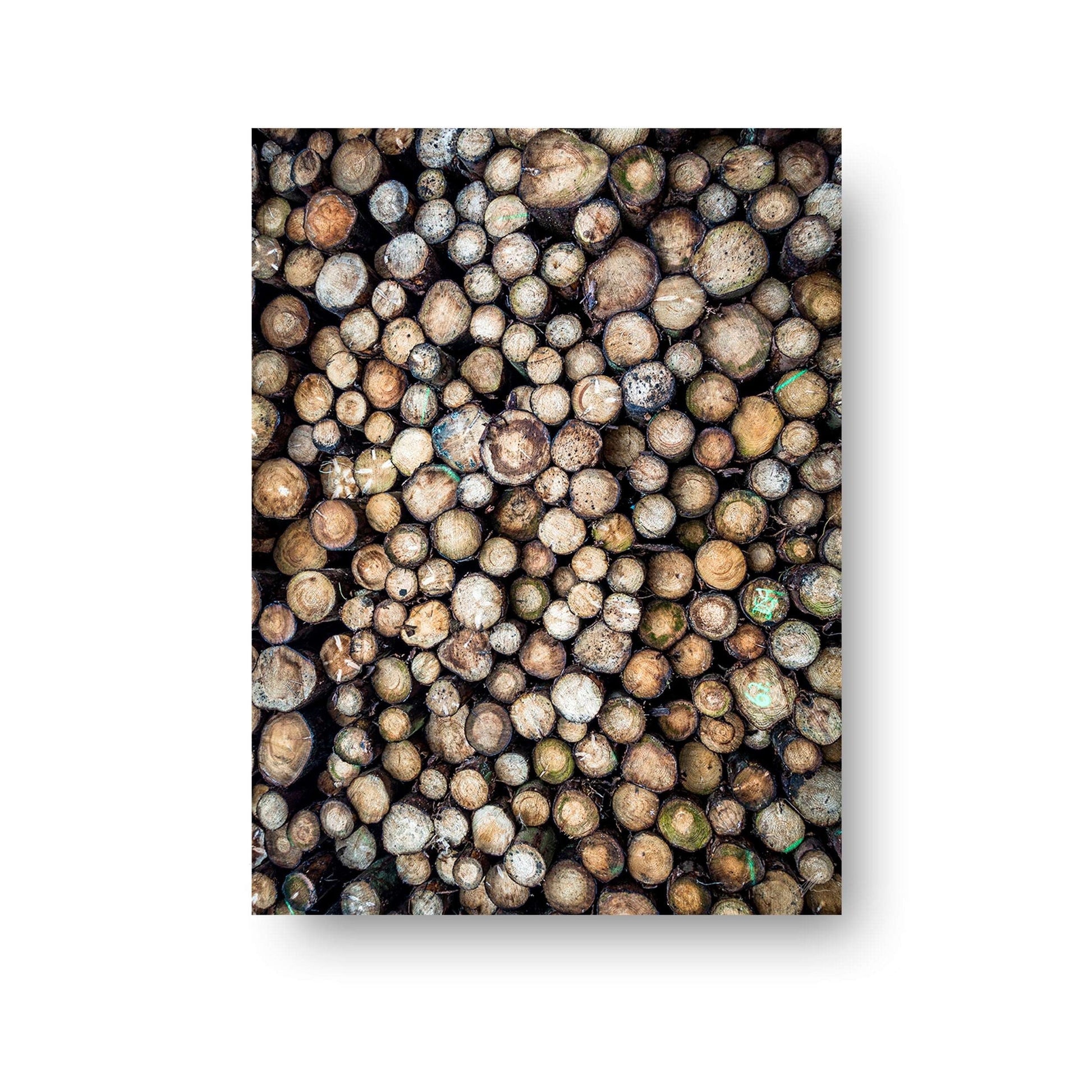NOKUKO - Photo - Alan Pedersen - ALANTHEROCK - Wooden Texture - print
