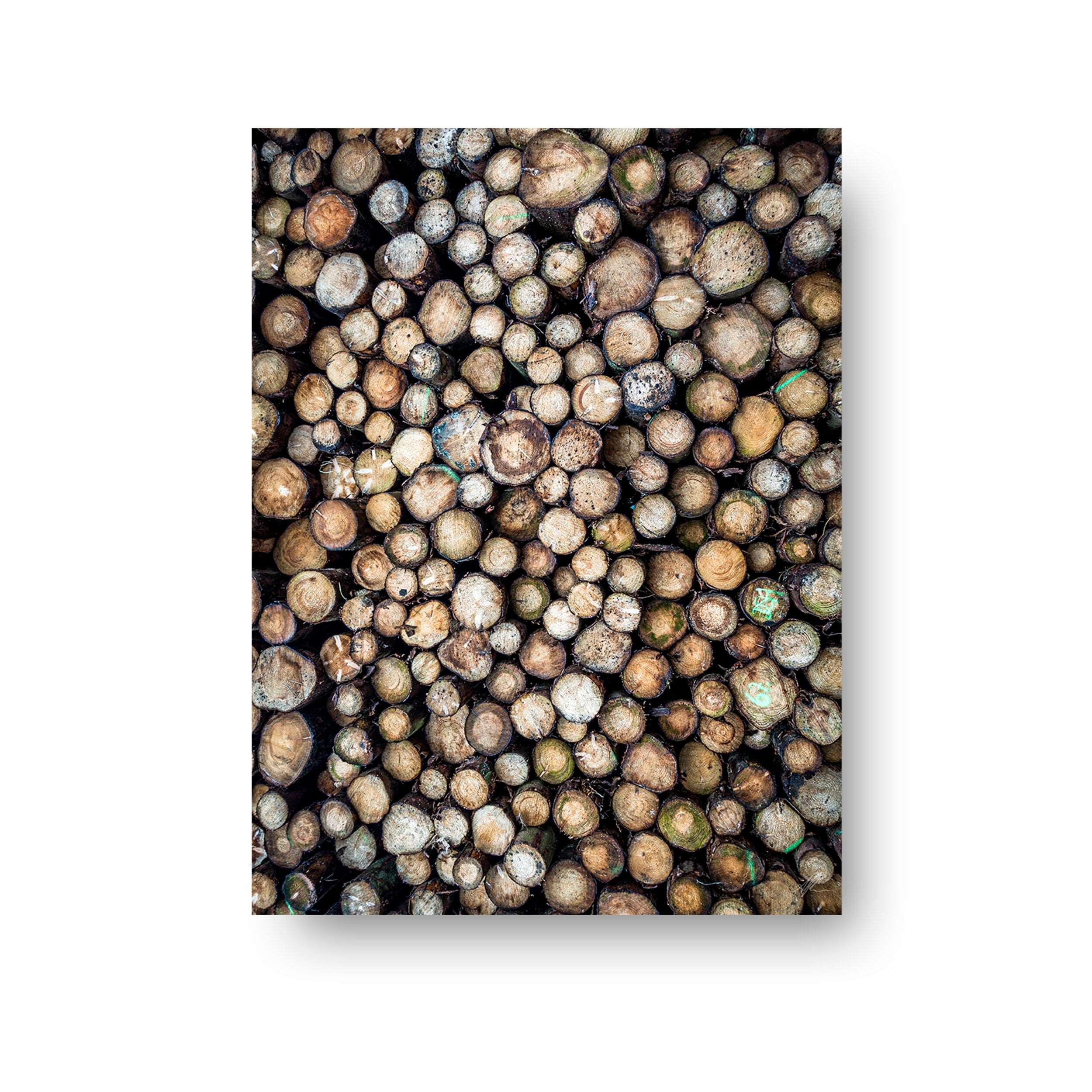 NOKUKO - Photo - Alan Pedersen - ALANTHEROCK - Wooden Texture - print